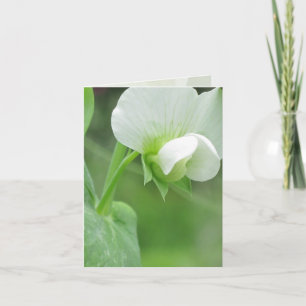Garden Notecard for Any Occasion