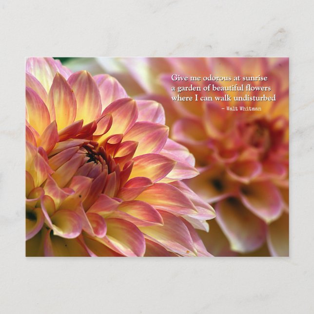 "Garden of Beautiful Flowers" Quote by Whitman Postcard (Front)