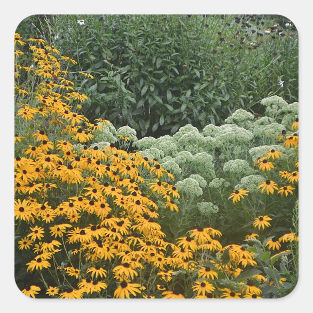 Garden Of Black-Eyed Susans Sticker (Front)