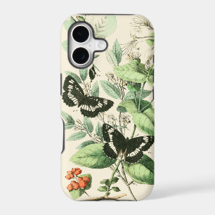 Garden of Butterflies and Flowers