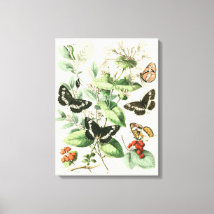 Garden of Butterflies and Flowers Canvas Print