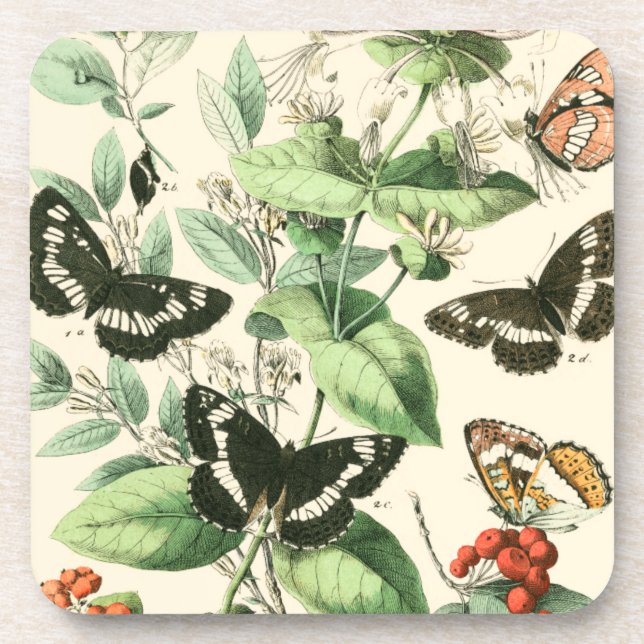 Garden of Butterflies and Flowers Coaster (Front)