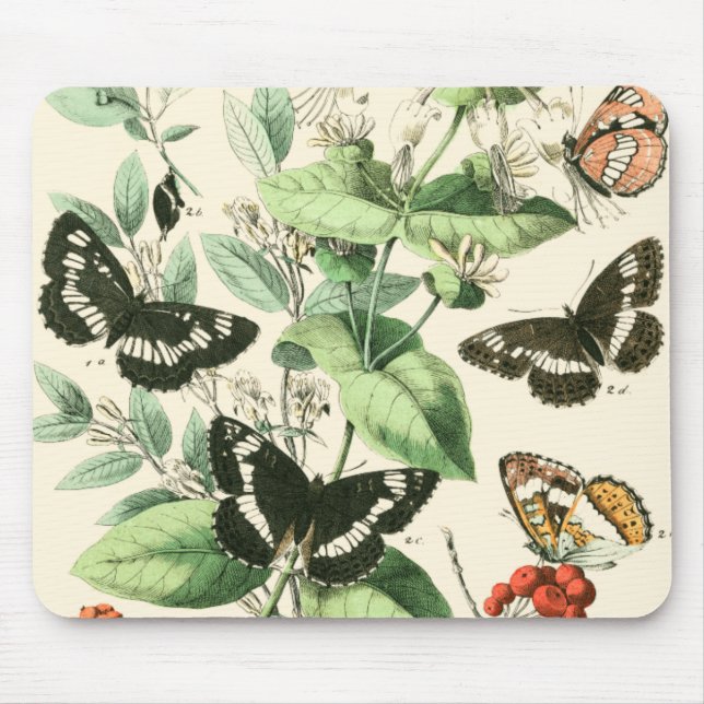 Garden of Butterflies and Flowers Mouse Pad (Front)