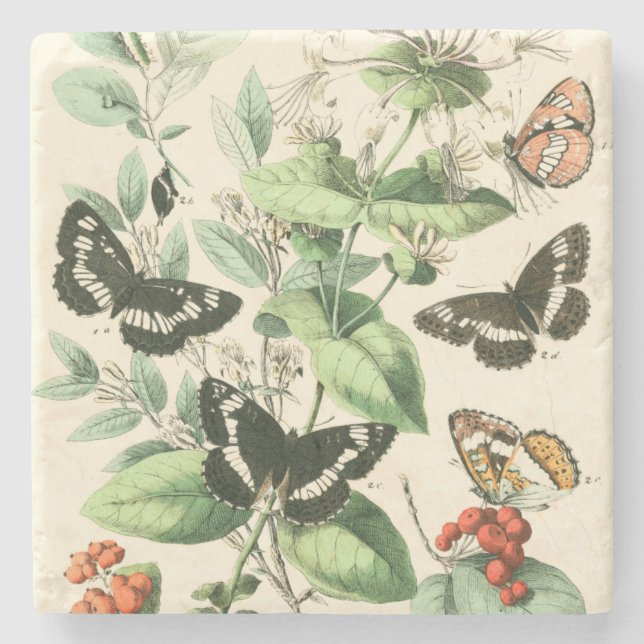 Garden of Butterflies and Flowers Stone Coaster (Front)