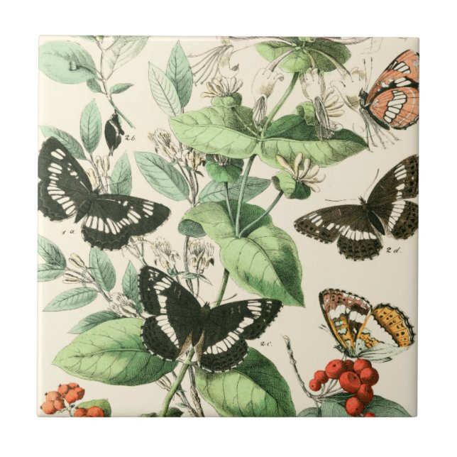 Garden of Butterflies and Flowers Tile (Front)
