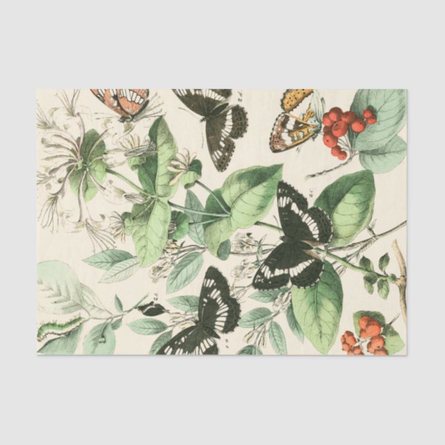 Garden of Butterflies and Flowers Tissue Paper (Front)