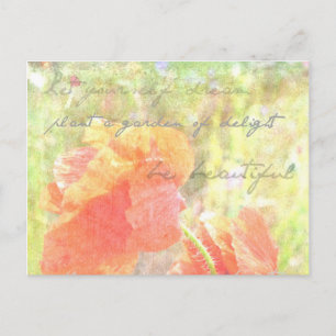 Garden of Delight Poppies Postcard