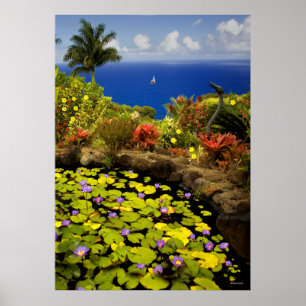 Garden of Eden - Maui - Hawaii Poster
