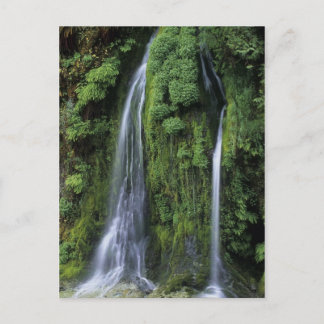 Garden of Eden Postcard