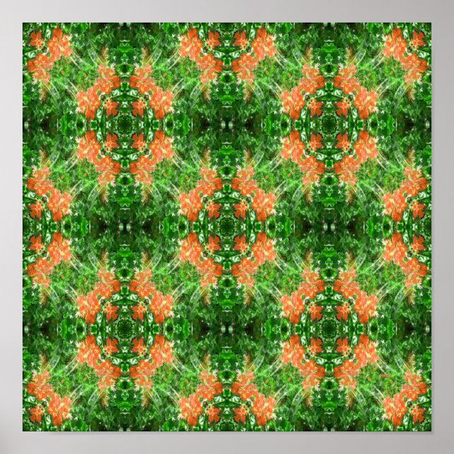 Garden of Geraniums.... Poster (Front)