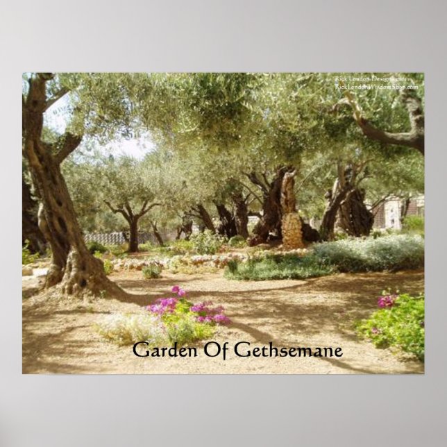 Garden Of Gethsemane Christianity Posters (Front)