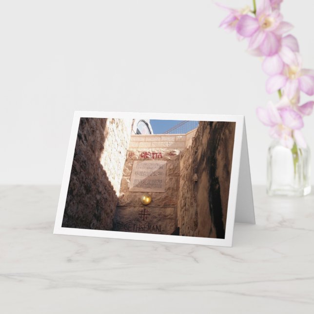 Garden Of Gethsemane, Jerusalem Card (Orchid)