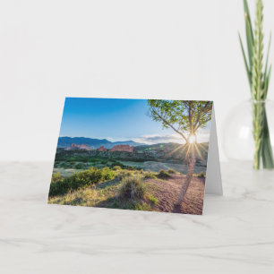 Garden Of Gods Tree Sunburst Greeting Card