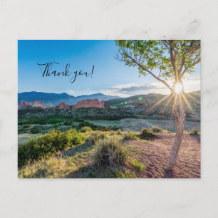 Garden Of Gods Tree Sunburst Thank You Postcard
