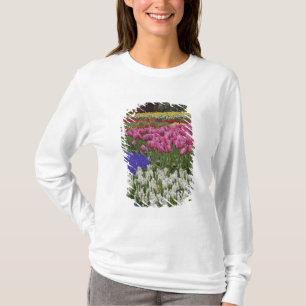 Garden of grape hyacinth, hyacinth and tulips, T-Shirt
