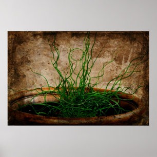 Garden of Green Poster