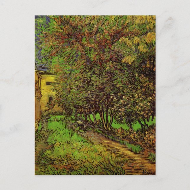 Garden of Saint-Paul Hospital by Vincent van Gogh Postcard (Front)