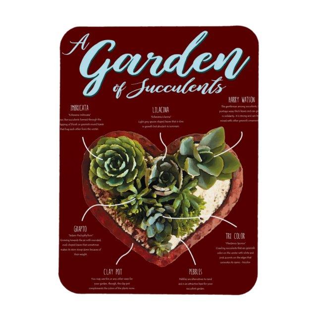 Garden Of Succulents Magnet (Vertical)
