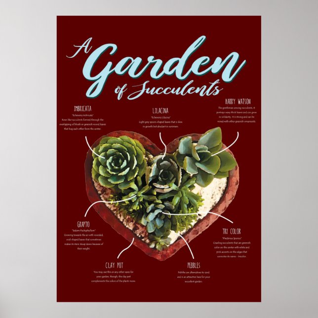 Garden Of Succulents Poster (Front)