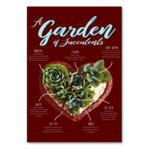 Garden Of Succulents Table Number