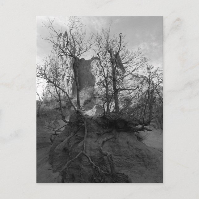 Garden of the Gods Colorado Park Photo PostCard (Front)