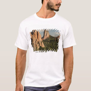 Garden of the Gods Historic Site T-Shirt