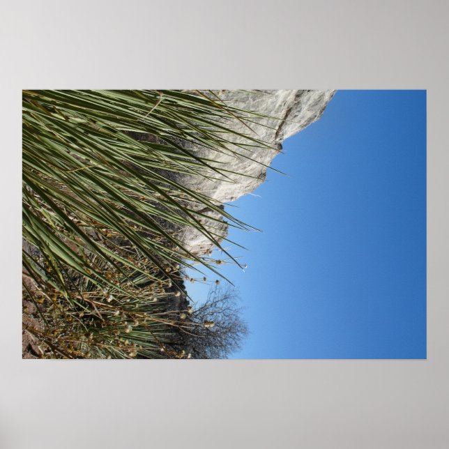 Garden of the Gods Poster (Front)