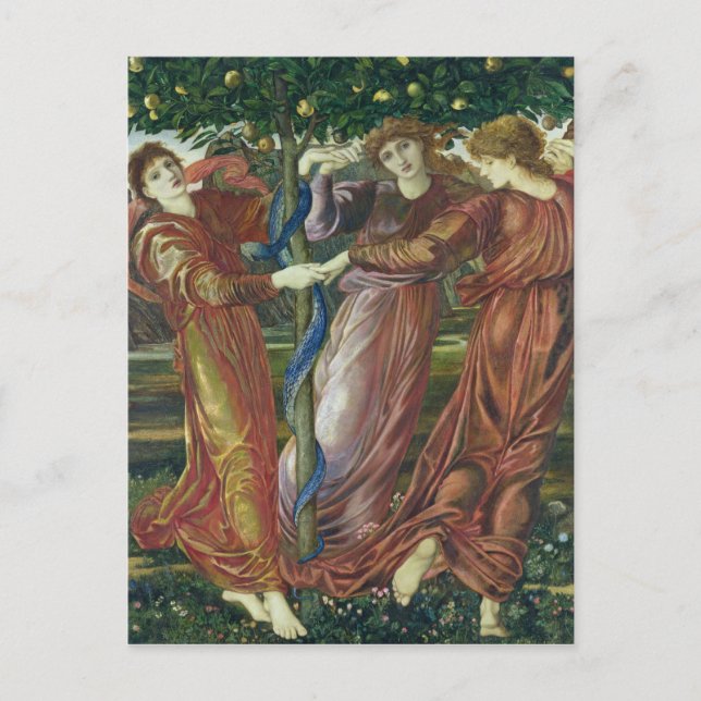 Garden of the Hesperides, 1869-73 Postcard (Front)