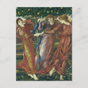 Garden of the Hesperides, 1869-73 Postcard