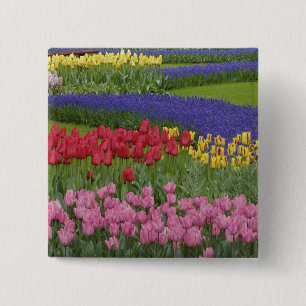 Garden of tulips, Grape Hyacinth and 15 Cm Square Badge