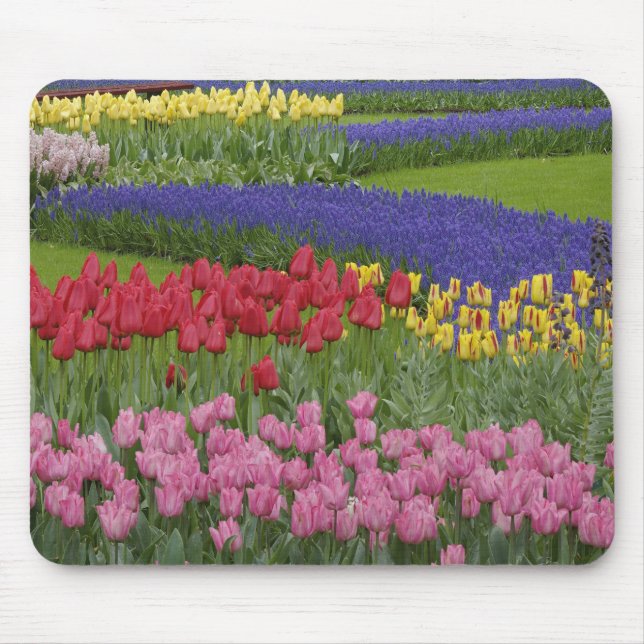 Garden of tulips, Grape Hyacinth and Mouse Pad (Front)