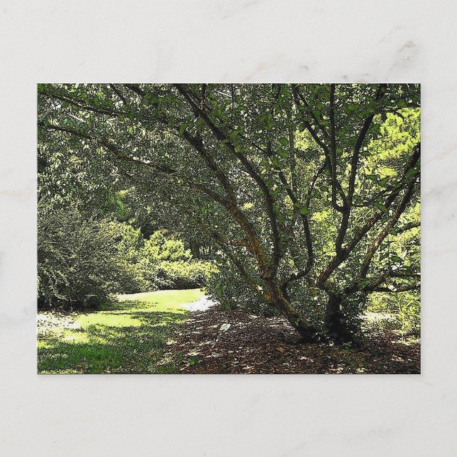 Garden Path by Mark Edward Westerfield Postcard (Front)