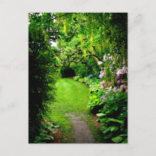 Garden Path Postcard
