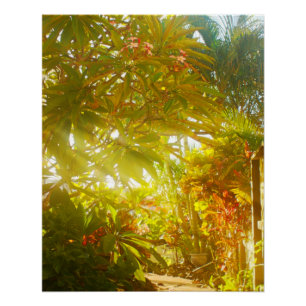 Garden Path Poster