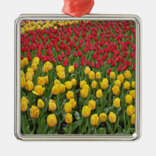 Garden pattern of tulips, Keukenhof Gardens, 2 Metal Tree Decoration