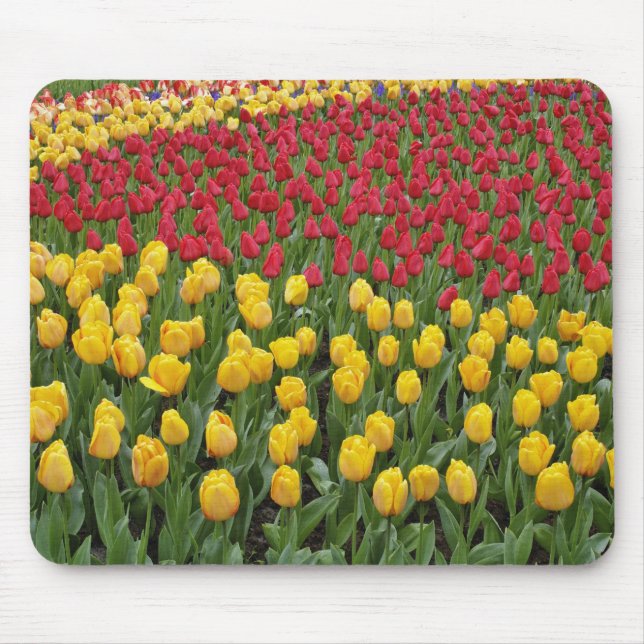 Garden pattern of tulips, Keukenhof Gardens, 2 Mouse Pad (Front)