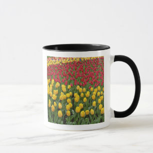 Garden pattern of tulips, Keukenhof Gardens, 2 Mug