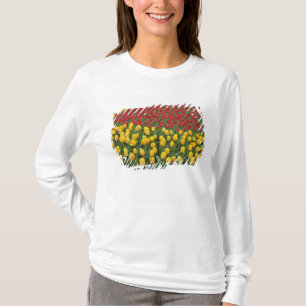Garden pattern of tulips, Keukenhof Gardens, 2 T-Shirt