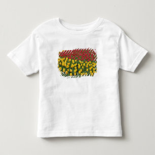 Garden pattern of tulips, Keukenhof Gardens, 2 Toddler T-Shirt