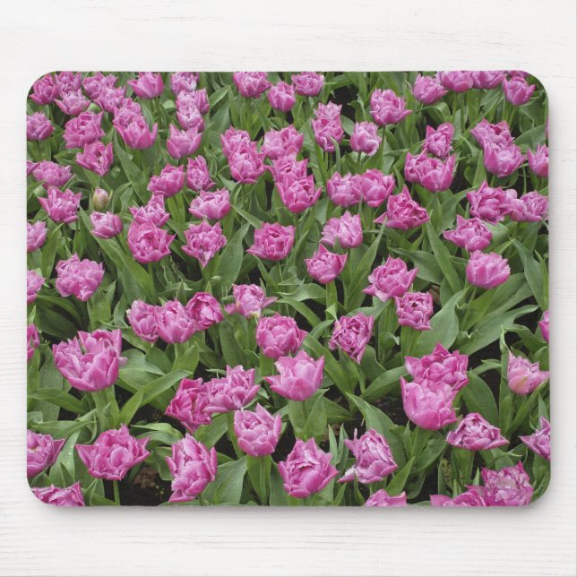 Garden pattern of tulips, Keukenhof Gardens, Mouse Pad (Front)