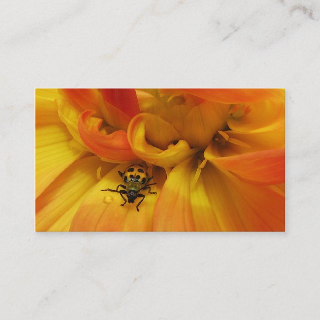 Garden Pest Control Business Card (Front)