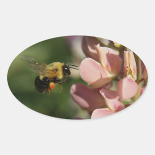 Garden Photo Oval Sticker