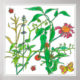 Garden Plants Coneflower Ladybug Butterfly Poster