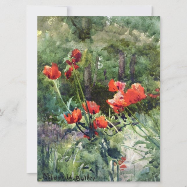 Garden Poppies (by Mildred Anne Butler) Card (Front)