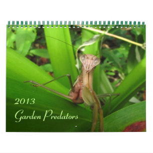 Garden Predators 2013 Calendar