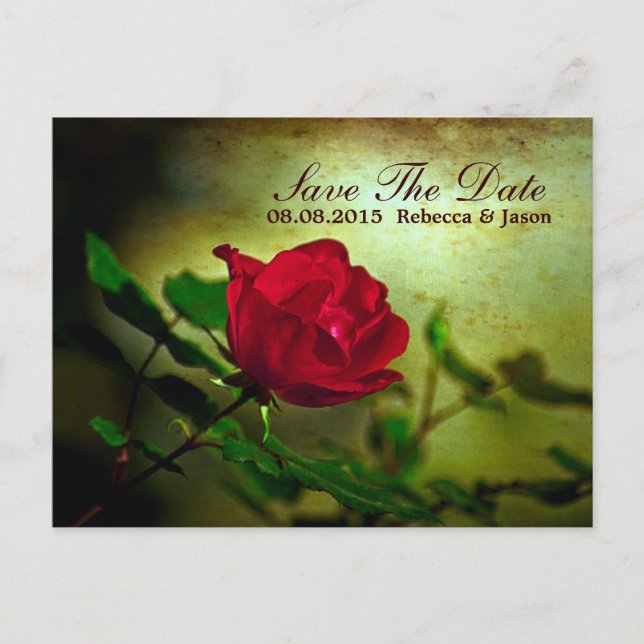 garden red rose steampunk gothic wedding announcement postcard (Front)