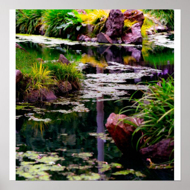 Garden Reflections Poster (Front)