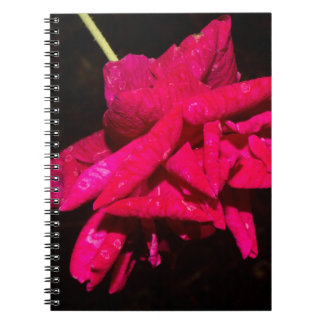 Garden Rose Notebook