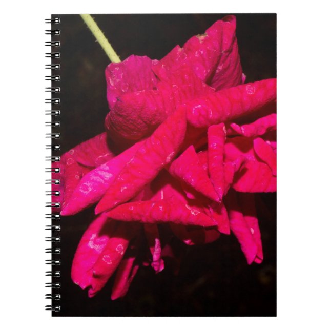 Garden Rose Notebook (Front)