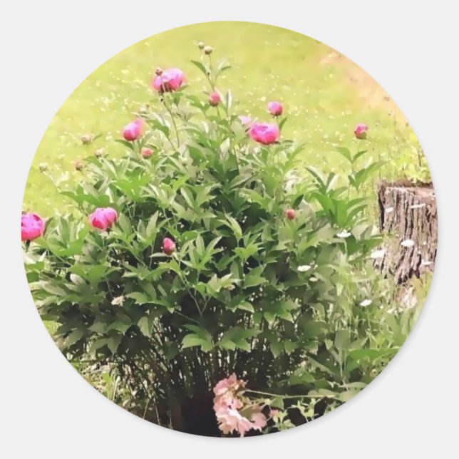 Garden Roses Stickers (Front)